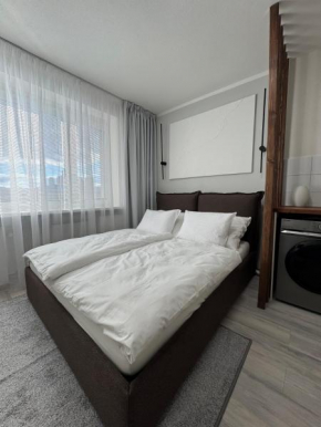 Modern Apartment in the City Center
